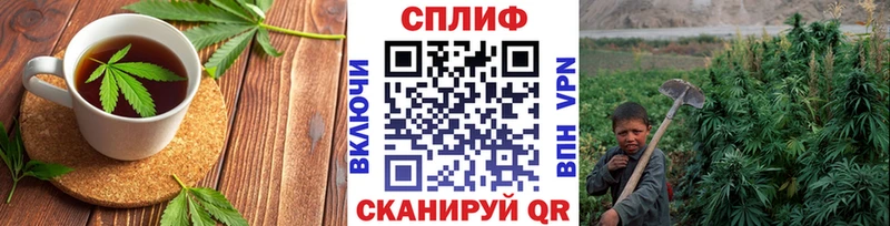 Canna-Cookies марихуана  Ясный 