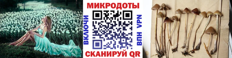 Галлюциногенные грибы прущие грибы  Ясный 