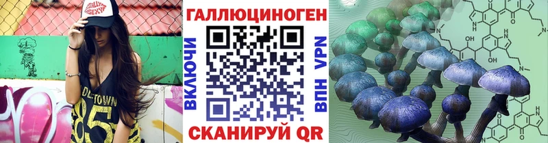 Псилоцибиновые грибы Cubensis Ясный